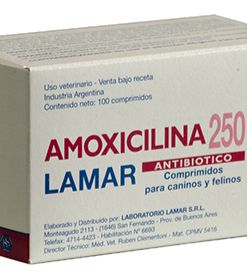 AMOXICILINA 250 MG X 100 CP.