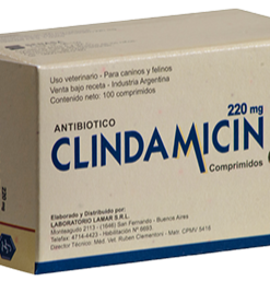 CLINDAMICIN 220 MG X 100 CP.