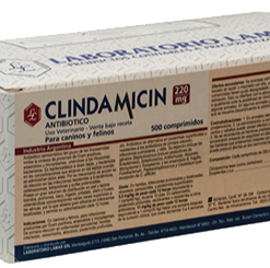 CLINDAMICIN 220 MG X 500 CP.