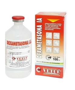 DEXAMETASONA I.A. X 100 ML.