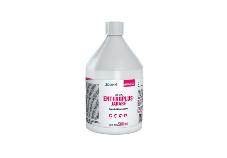ENTEROPLUS JARABE X 500 ML