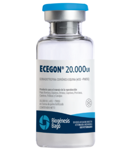 ECEGON 20.000 UI X 100 ML