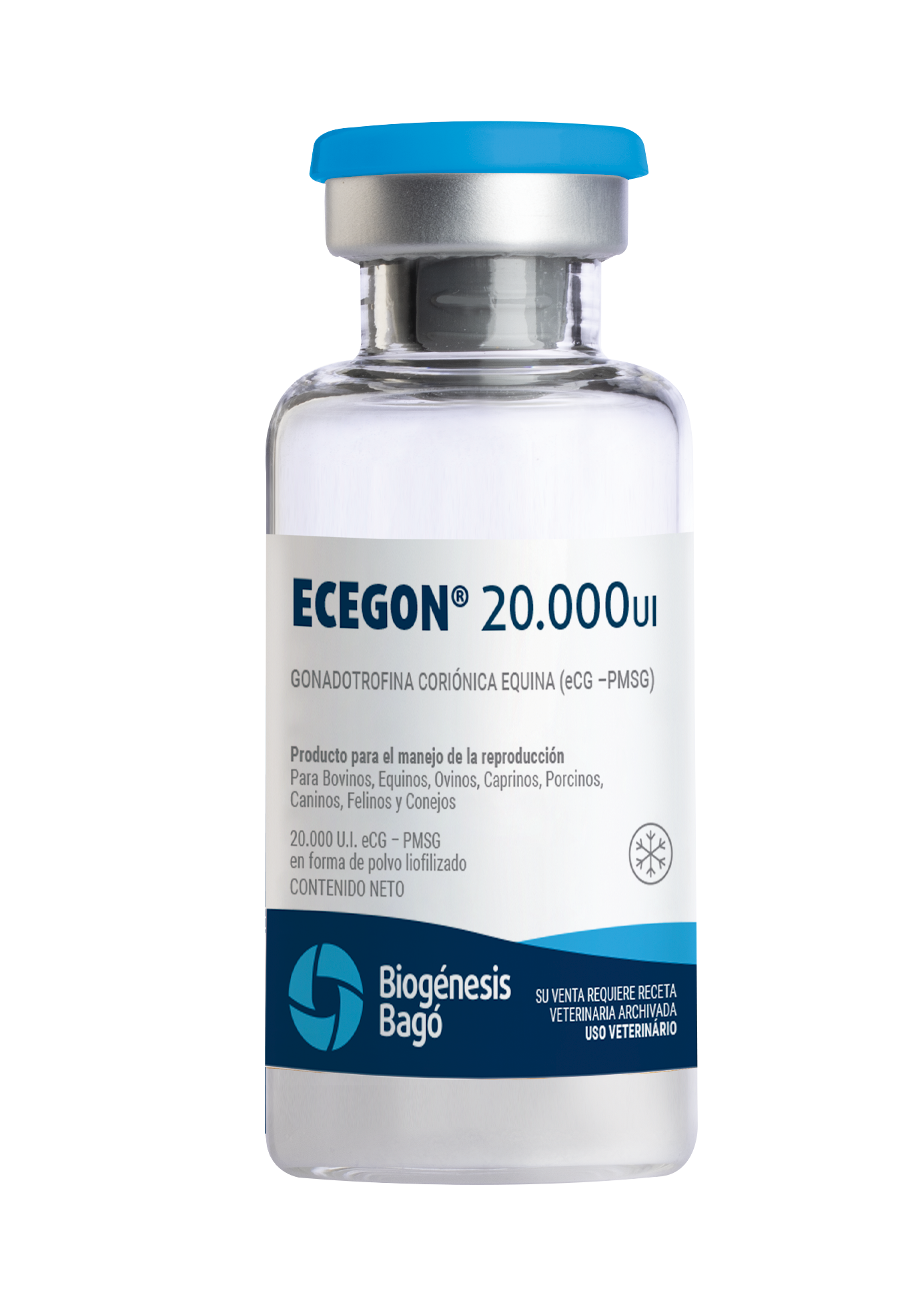ECEGON 20.000 UI X 100 ML