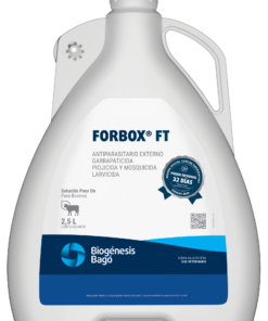FORBOX FT X 2.5 LTS