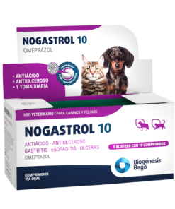 NOGASTROL 10 mg x 50 comp.