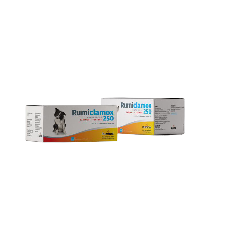 RUMICLAMOX X 250 MG X 100 CP