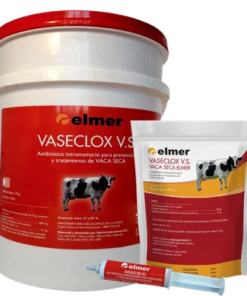 VASECLOX VS X 20 JGAS CANULA CORTA